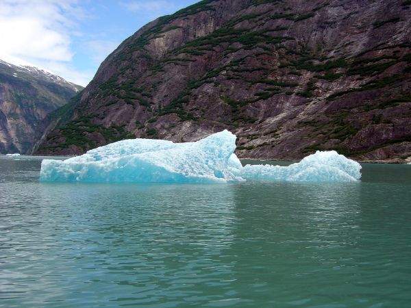Bergs